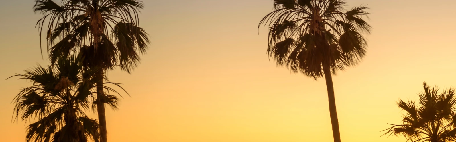 Hiking, Beaches, and Parks: Outdoor Fun in Los Angeles