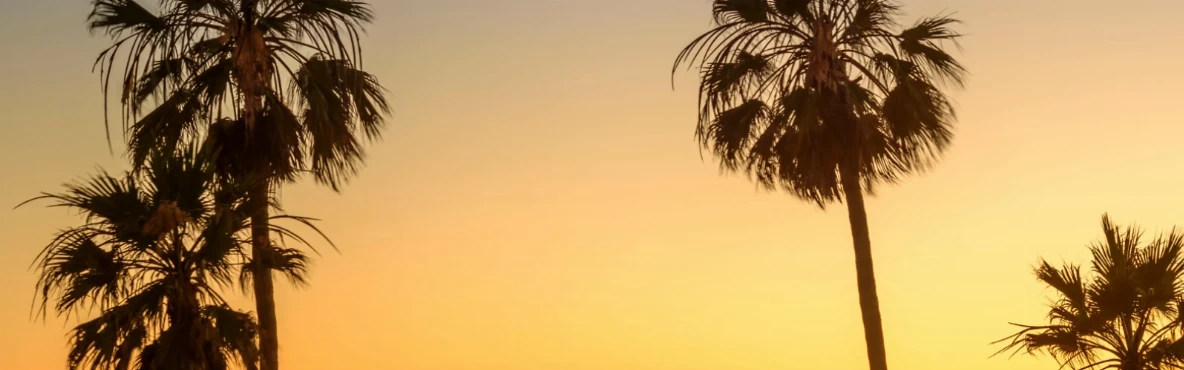 Hiking, Beaches, and Parks: Outdoor Fun in Los Angeles