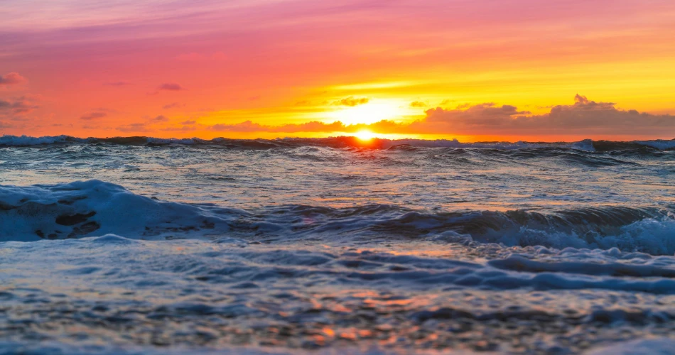 Hiking, Beaches, and Parks: Outdoor Fun in Los Angeles