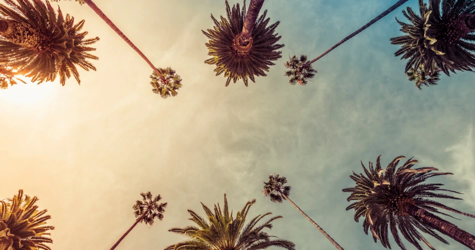 Top Places to Explore in Los Angeles for First-Time Visitors